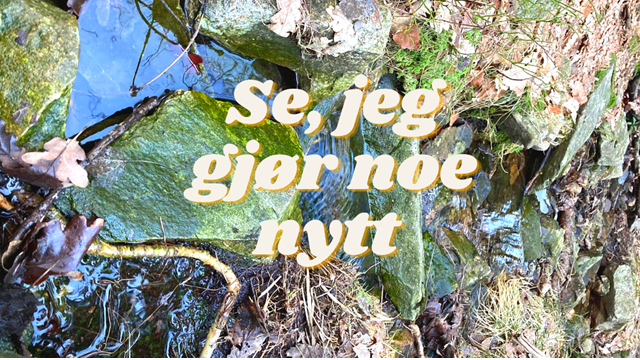 Se, jeg gjør noe nytt