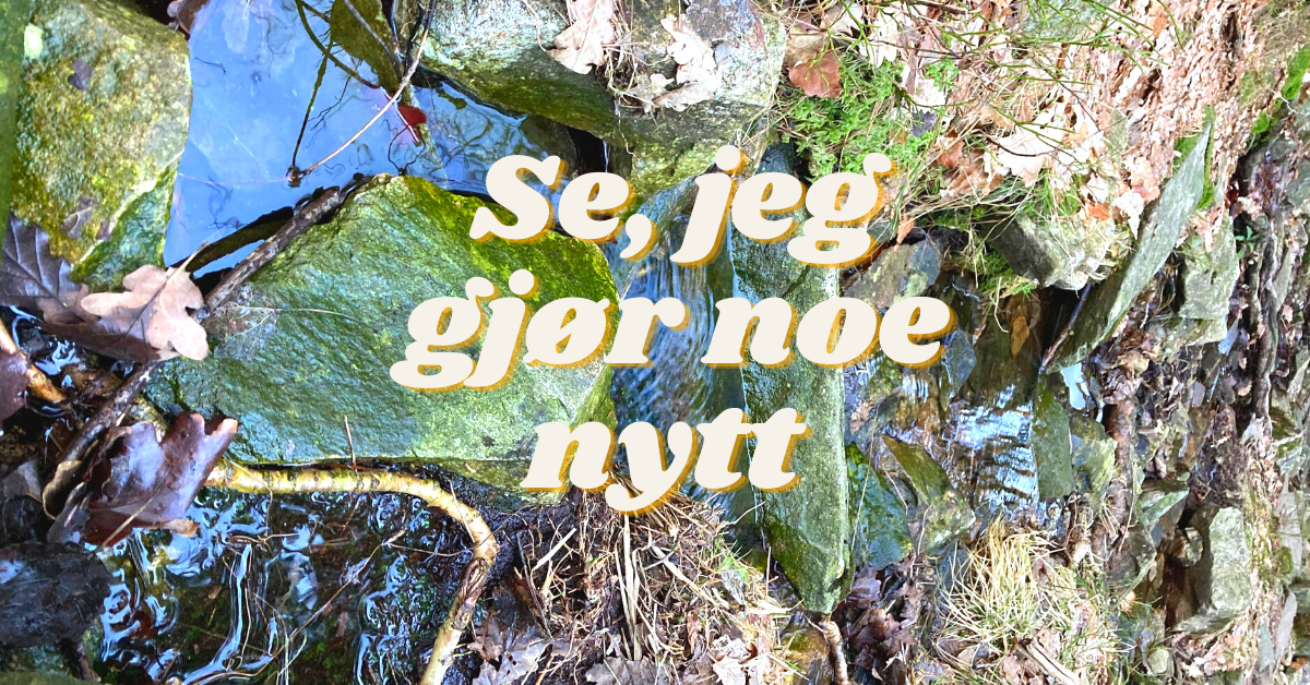 se,-jeg-gjor-noe-nytt